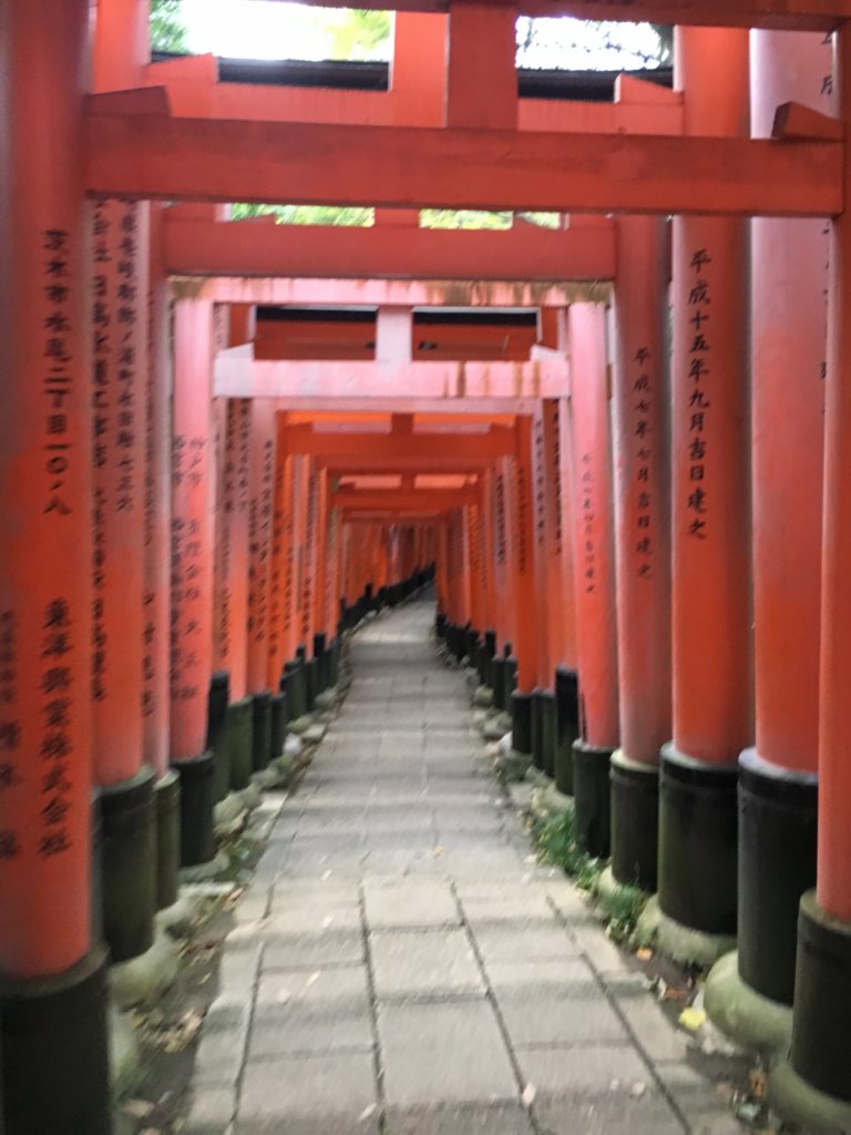 伏見稲荷大社　千本鳥居