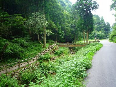 石見銀山へ行く道