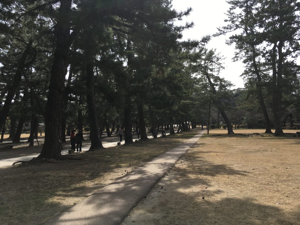 出雲大社参道