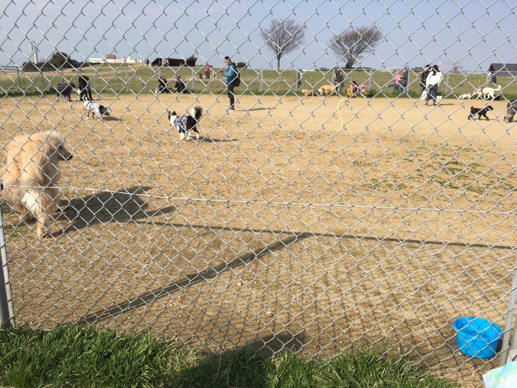 海とのふれあい広場（堺浜のドッグラン）