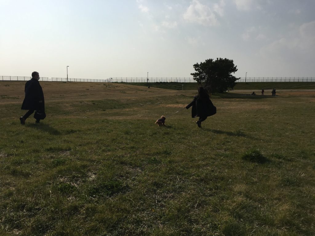 海とのふれあい広場
