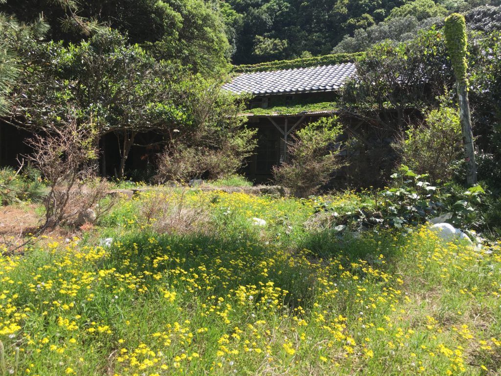 友ヶ島