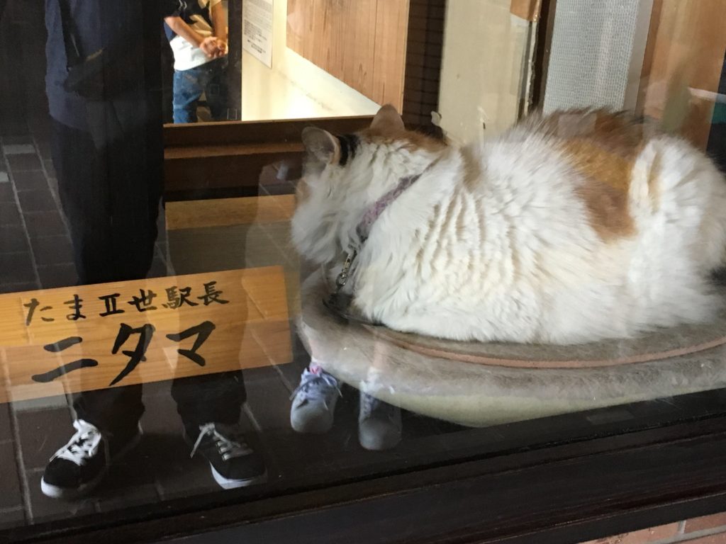 貴志駅　たま駅長　ニタマちゃん