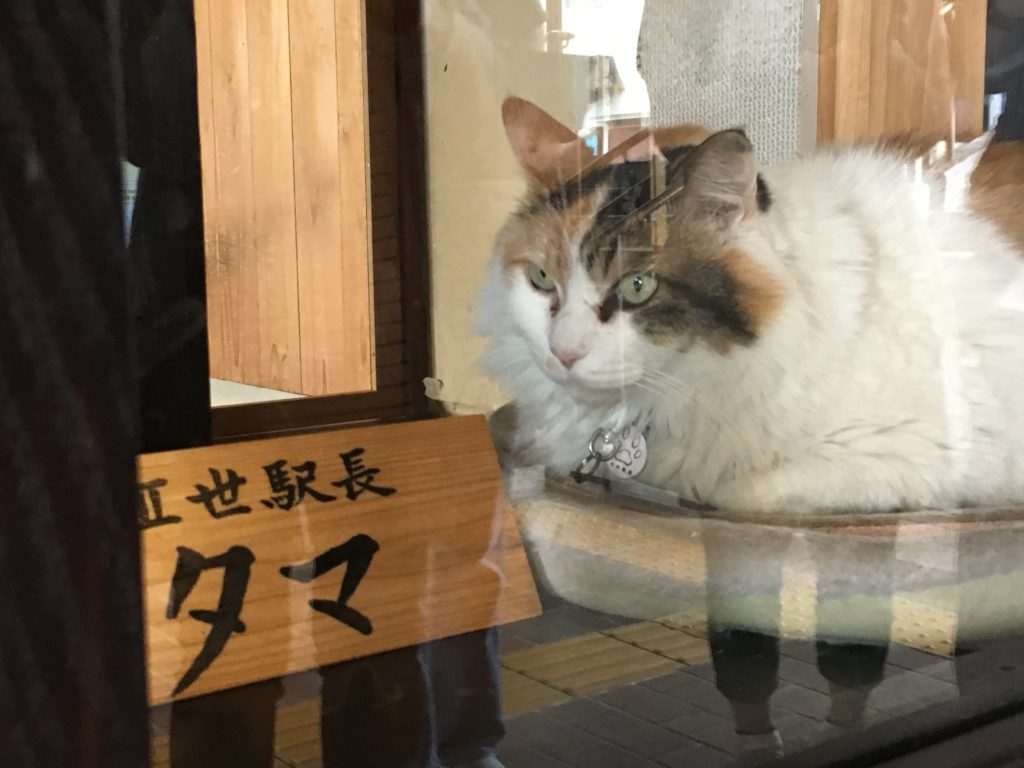 貴志駅　たま駅長　ニタマちゃん