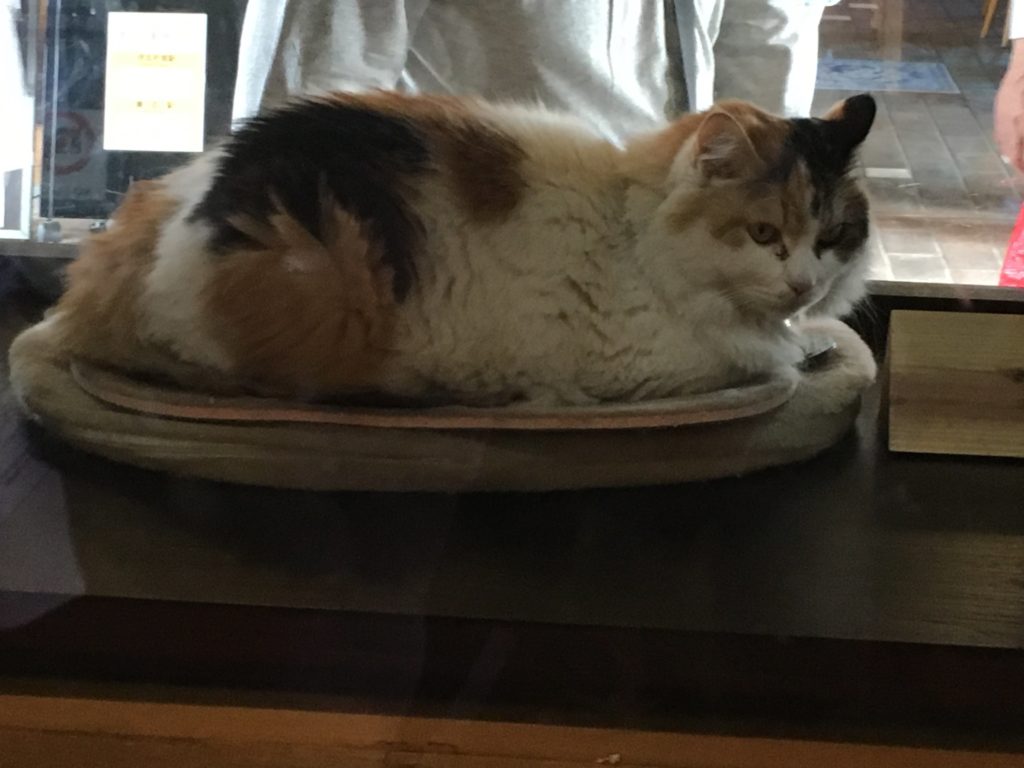 貴志駅　たま駅長　ニタマちゃん