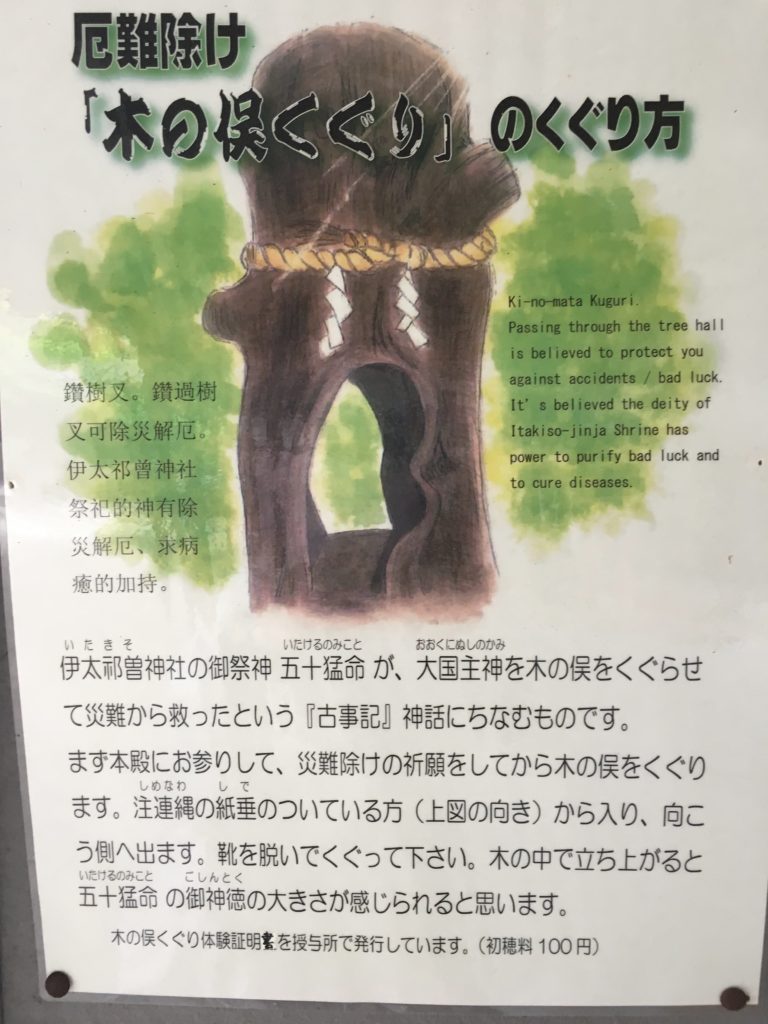 伊太祁曽神社　木の俣くぐり
