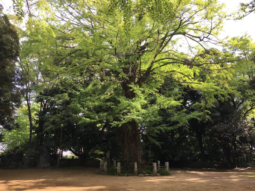 赤坂氷川神社