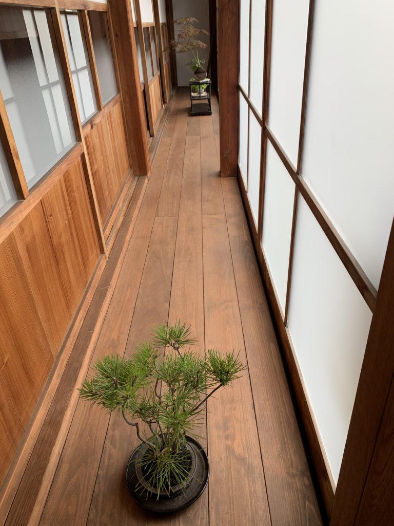 「町家盆栽Cafe コトノハ」の縁側