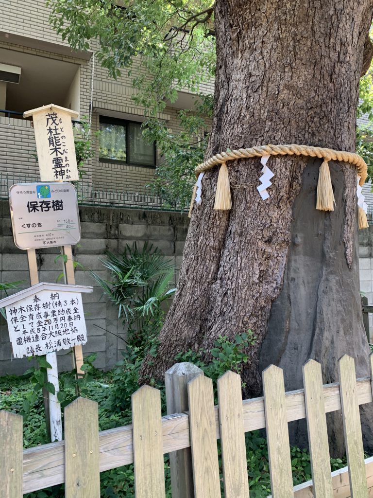 阿倍王子神社の楠