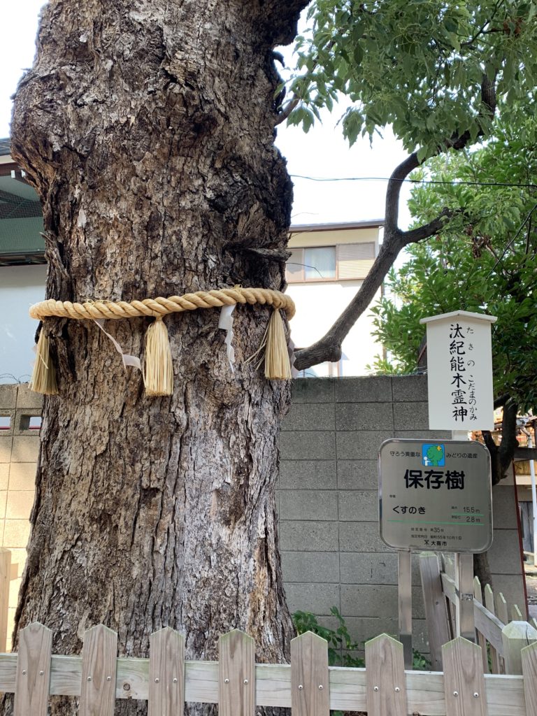 阿倍王子神社の楠