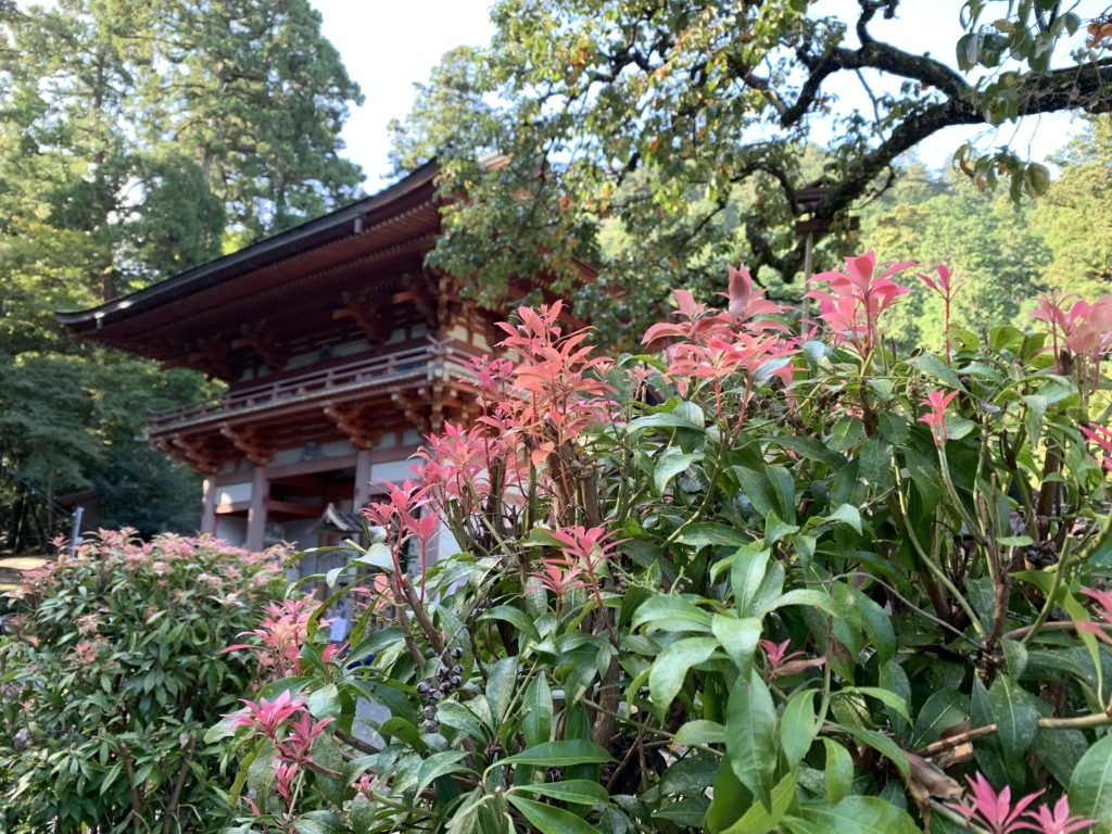 日吉大社　西本宮楼門