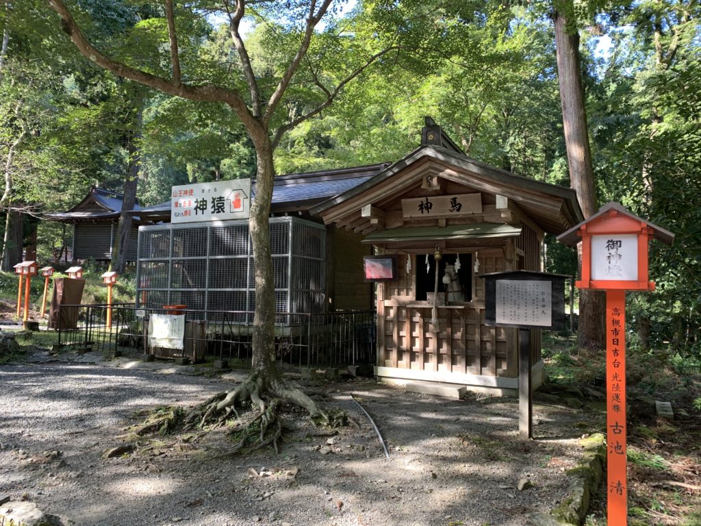 日吉大社の神馬舎と神猿舎