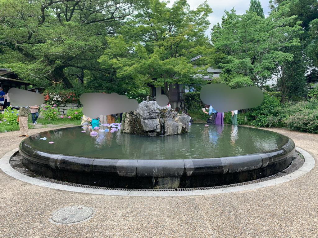 久安寺あじさいうかべ(2020年6月20日)